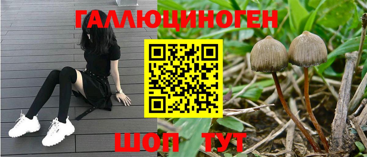 Галлюциногенные грибы Magic Shrooms  хочу   Галлюциногенные грибы мухоморы  Чехов  Вход с VPN 